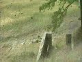 Drought Drought