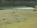 videos de Drought