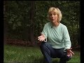 Repair Lawn Spots with Patch Master Repair Lawn Spots with Patch Master