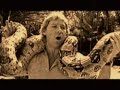 homenaje a steve irwin por ramiro sciarra