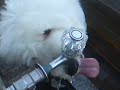 お水飲んでるの