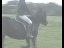 A little bit of jumping.