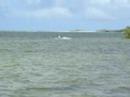 Kite Boarding