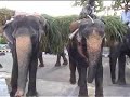 Jaipur Jaipur