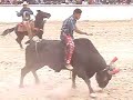 la primer monta especial del 2008