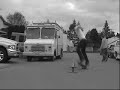 friends skateboarding
song,

