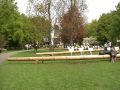 كوكن هوف اكبر حديقة زهور بهولندا