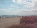Camping Laguna: Van receptie naar strand etc Camping Laguna: Van receptie naar strand etc