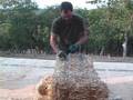 StrawBale.com: Re-Tying Straw Bales Part 1