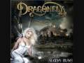 Dragonfly - 1000 lagrimas