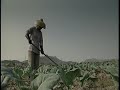 Farming in China
