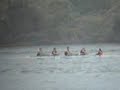 Stony Brook Crew, Fall 2004 Stony Brook Crew, Fall 2004