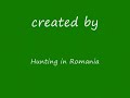 Hunting in Romania - Wild duck Hunting in Romania - Wild duck
