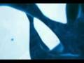  - MovieZen Video
