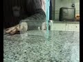 fingerboard fingerboard