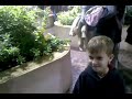 video-2009-11-27-10-38-20
