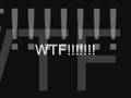 videos de Monkeys on TS wtf?