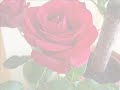 m�sica rom�ntica