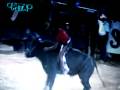 videos de terror vs pegaso de oaxaca