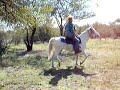 CABALGATA EN RANCHO SAN BERNARDINO