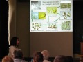 Y. Bogdanova's PhD D