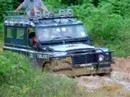 Kerbau loves to play in Mud