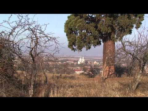 gigantea - GUIDE : TUDOR ILIE 0722 - 364333 Video by Full HD 1080 SONY VideoCamera I created this video with the YouTube Video Editor (http://www.youtube.com/editor)