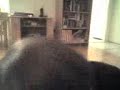 Re: Chicken Noodle Soup - Growling Cover