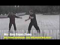 wu - xing bagua zhang