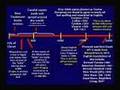 Hovind on Bible versions