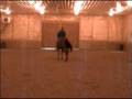 Mollie- Bareback, Bridleless- 10/05/2008
