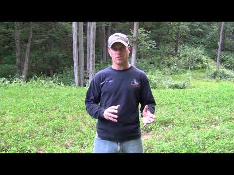 how to fertilize food plots