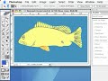 From Pixels to Perches - Digital Art - John W. Golden