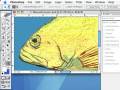videos de From Pixels to Perches - Digital Art - John W. Golden