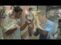 CASSINO FIGHT IV VALE TUDO HIGHLIGHTS