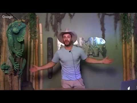 YouTube reptile video
