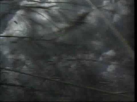 Посмотреть видео клип Посмотреть видео клип