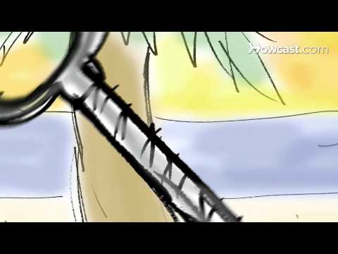 how to fasten a hammock to a tree