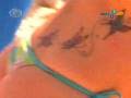 Pânico na TV - Beijo na boca ou tapa na cara (02/11/08)