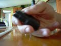 how to make a cheap bump hammer