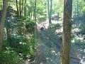 Ohio Adventure 2008
