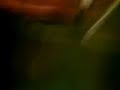 fuck a duck and from ass to mouth singing this particular cover of 