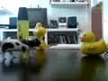 vaca y pato