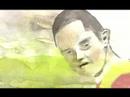 Animacion (Maxi)