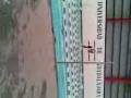 videos de nadando a tope