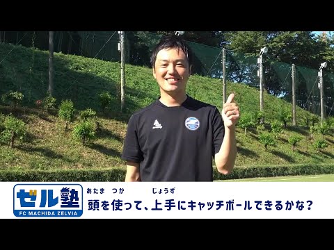 YouTube動画