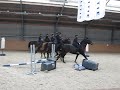Hippeia YouTube channel