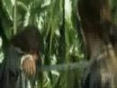 {SWA}JACK SPARROW