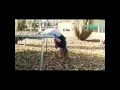999crypticAFV my favorites