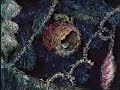 The Nutcracker (with English subtitles).Part 1. ?????????.